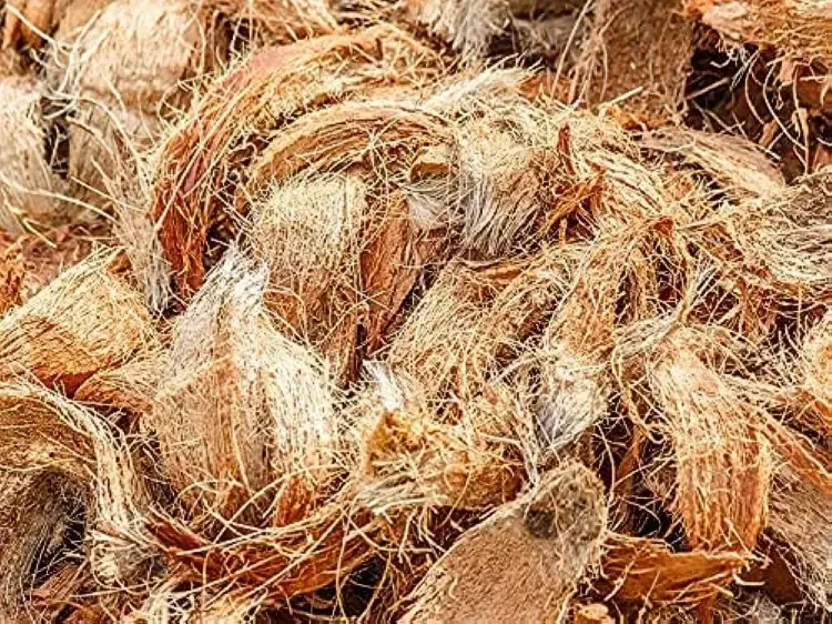 Coir industry transforms rural India: 80% women workforce, ₹35 lakh success stories