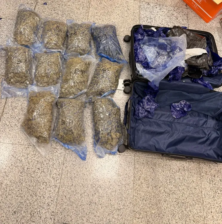 Massive Hydroponic Cannabis Haul: Rs 8.9 Crore Seized at Hyderabad Airport