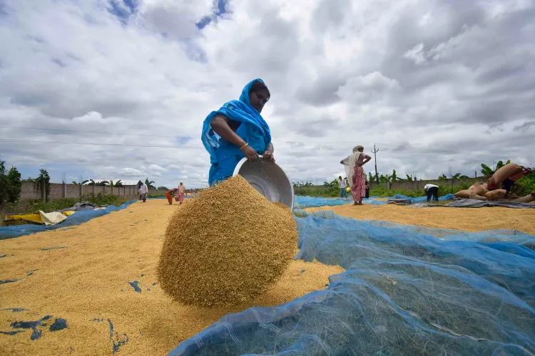 Did ICAR Deny Bias in Evaluating Gene-Edited Rice Varieties?