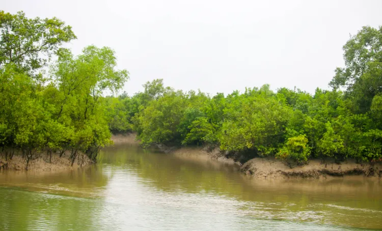 Illegal Migrants from Bangladesh Utilize Isolated Sundarban Islands to Enter Bengal