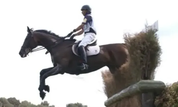 क्या इम्तियाज अनीस ओलंपिक में स्पर्धा समाप्त करने वाले एकमात्र घुड़सवार हैं?