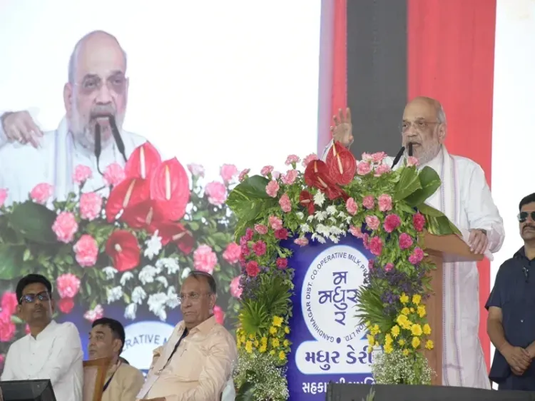 White Revolution 2.0: Amit Shah targets triple milk output in 10 years