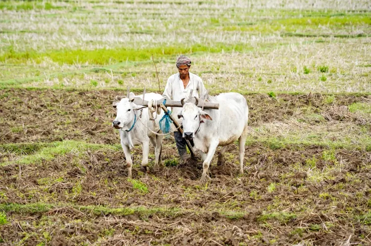 India can lead next phase of agricultural transformation: World Bank