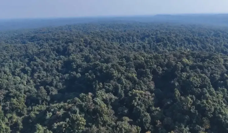 India's Vision for a Sustainable Future: Climate Action and Conservation