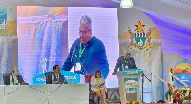 How Are India and Namibia Strengthening Cheetah Conservation Ties?