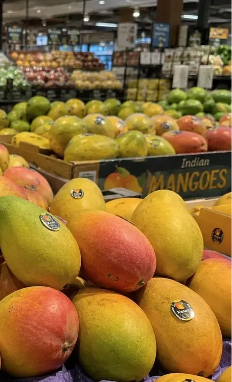 Indian mangoes sell out in hours at US retailers as summer demand surges