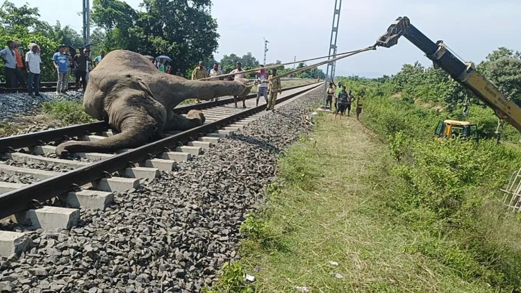 Has Indian Railways Unveiled an AI System to Prevent Elephant Collisions and Tenders 981 RKms?