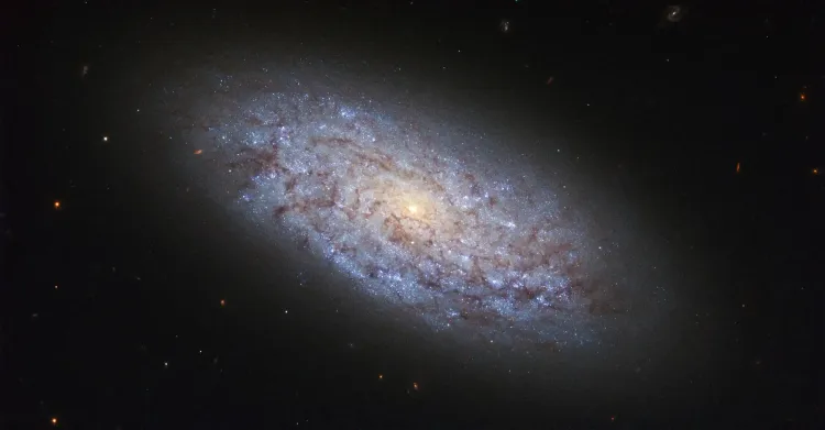 Indian Researchers Confirm Dwarf Galaxies May Host Black Holes