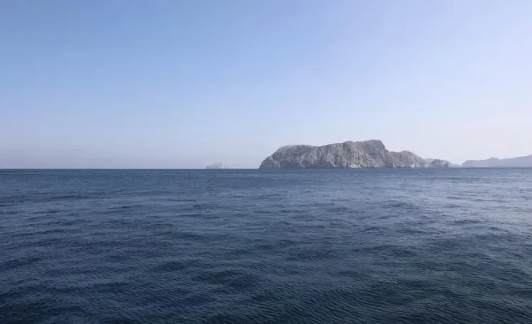 Indian seafarer killed as dhow catches fire, sinks near Strait of Hormuz