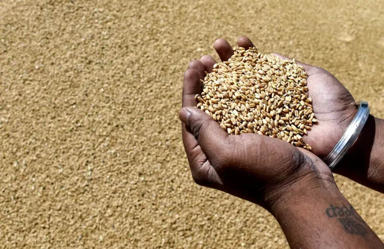 India's foodgrain output hits record 376.563 mn tonnes in 2025-26