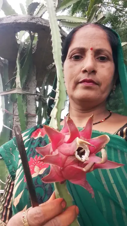 क्या इटावा की मंत्रवती शाक्य ने गांव में ‘लखपति दीदी’ की सफलता की कहानी लिखी?