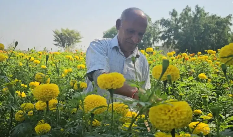 क्या जम्मू-कश्मीर के किसान आधुनिक तकनीकों को अपनाकर मोटी कमाई कर रहे हैं?