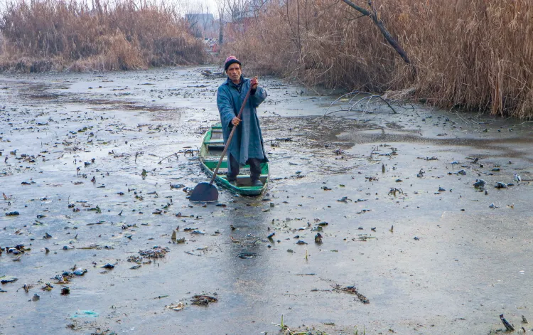 Is Jammu Experiencing Unprecedented Cold While Kashmir Freezes?