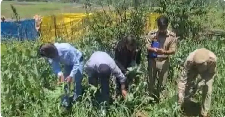 जमुई जंगल से SSB को मिली बड़ी सफलता: राइफल, खोखे और सुतली बम बरामद