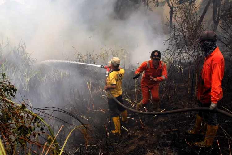 What Caused the Devastating Fire in Oita, Japan?