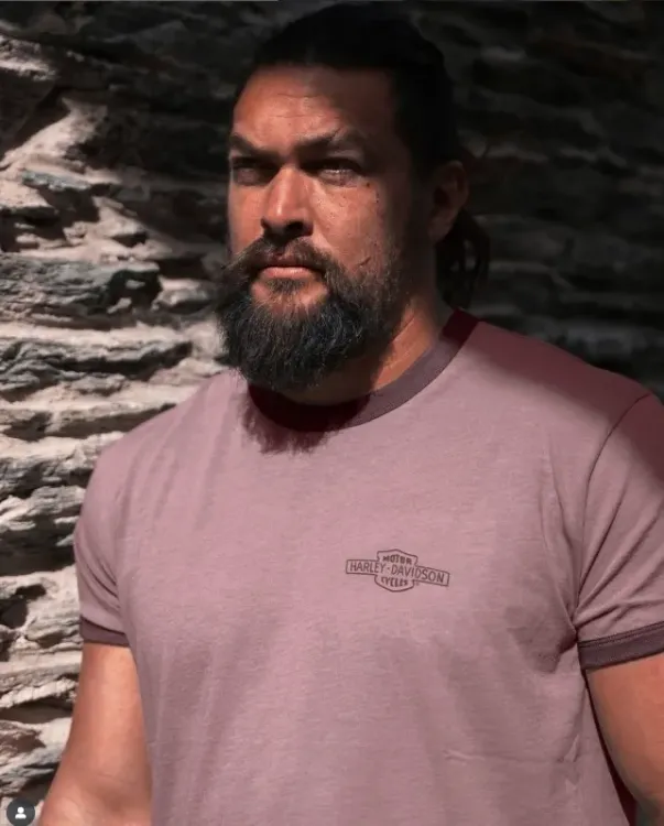 Did Jason Momoa Almost Drown While Surfing in Hawaii?