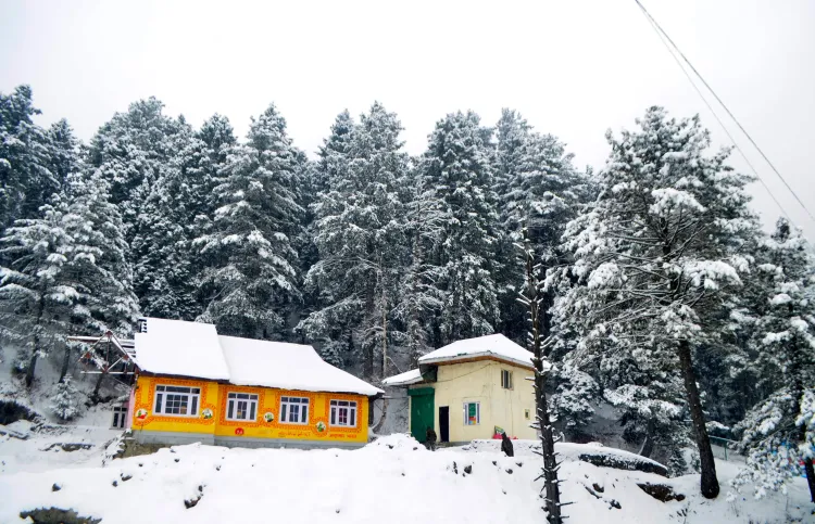 What is the coldest night of the season in Srinagar?