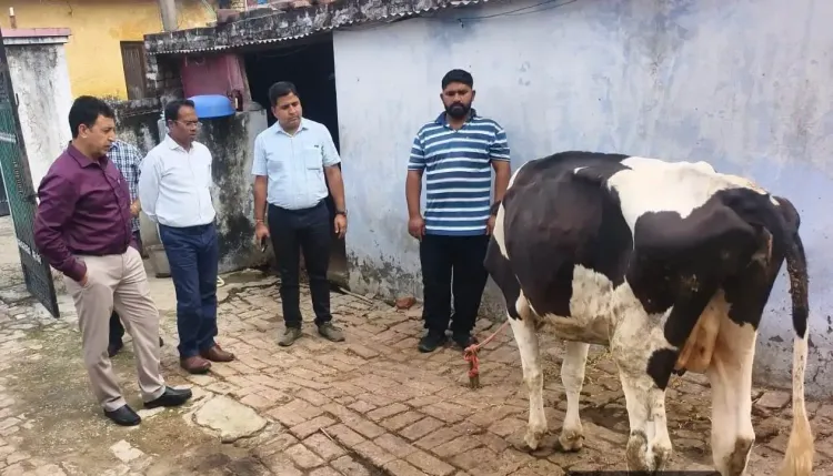 Lumpy Skin Disease in J&K: Central team inspects affected villages, collects samples