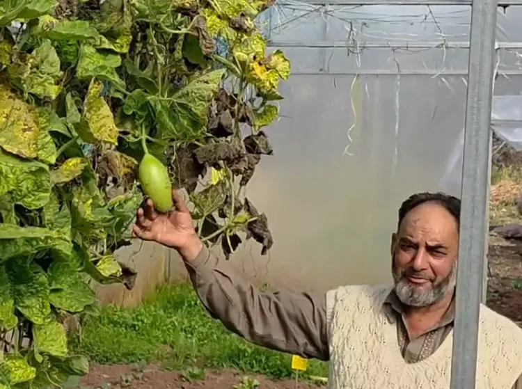 How is a Ramban Farmer Transforming Modern Agriculture?