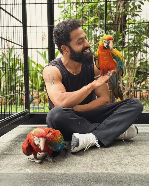 Jr NTR names new pet birds Asahi & Yuuhi, reflecting his love for Japan