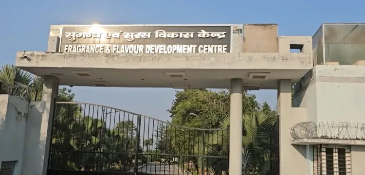 क्या कन्नौज में गुलाब की खुशबू ने किसानों की जिंदगी में बदलाव लाया है?
