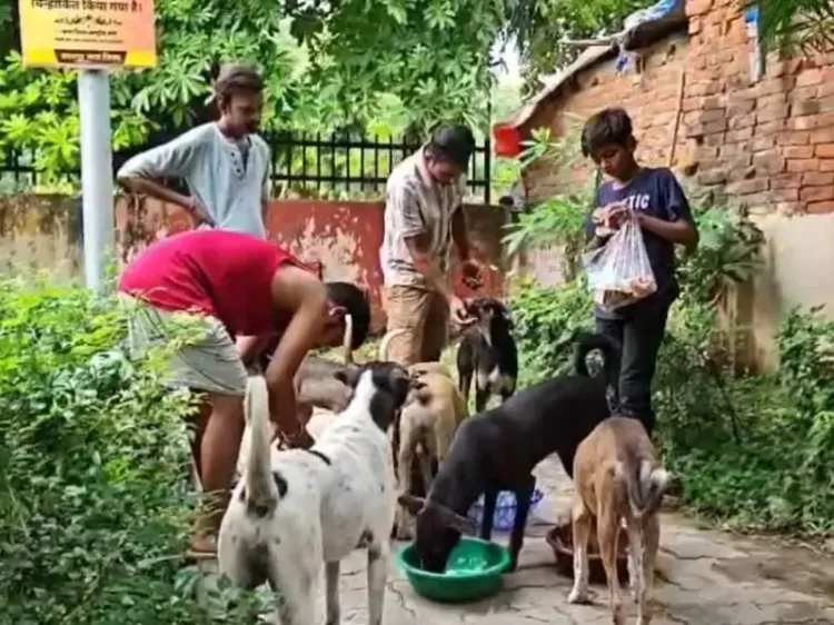 क्या कानपुर की सड़कों पर कुत्ते नहीं भटकेंगे? नगर निगम ने शुरू किए 55 डॉग फीडिंग सेंटर