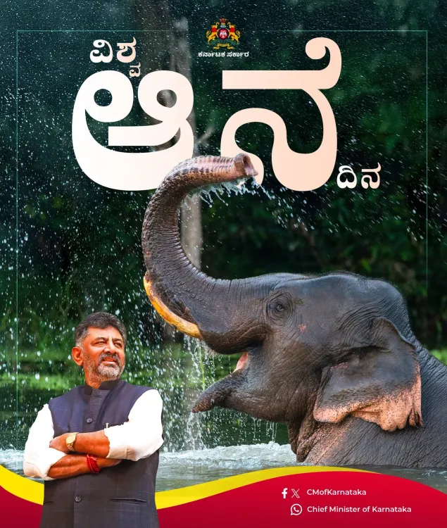 Karnataka CMO Champions Elephant Corridors on World Elephant Day