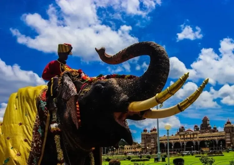 Kambala at Mysuru Dasara 2026: Royal family and BJP push back against Karnataka govt plan