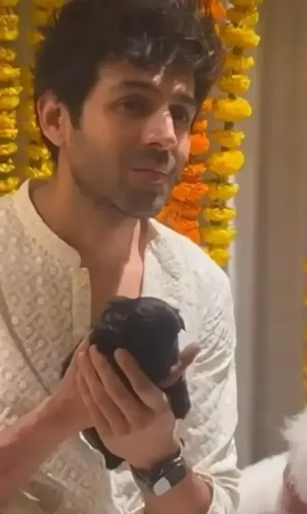 Bollywood Stars Celebrate National Pet Day with Heartfelt Tributes