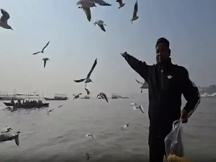 क्या काशीवासियों ने साइबेरियन पक्षियों का स्वागत किया, मां गंगा की रौनक बढ़ी?