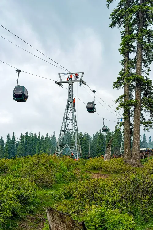 Gulmarg Gondola resumes operations after month-long closure