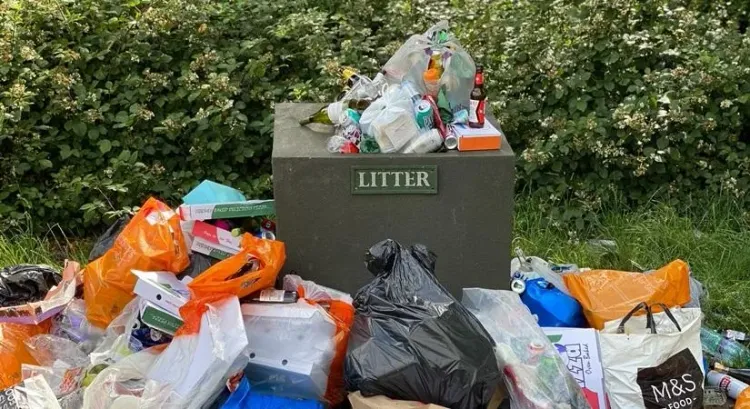 Has the Kerala HC Really Banned Single-Use Plastics from October 2?