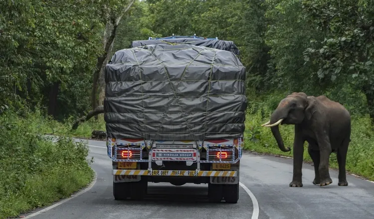 Kerala forest insurance scheme for hilly residents, solar fencing to 3,000 km