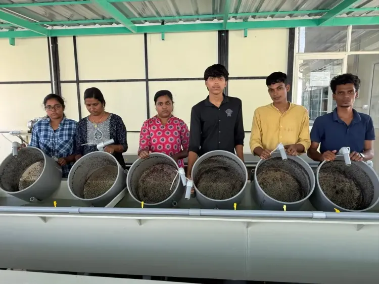 CMFRI supplies one million mussel seeds to Maharashtra in six months