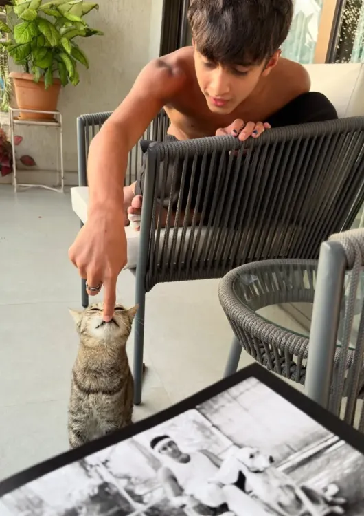 Kiran Rao mourns pet cat Miri: 'One hella cool cat' rests at farm