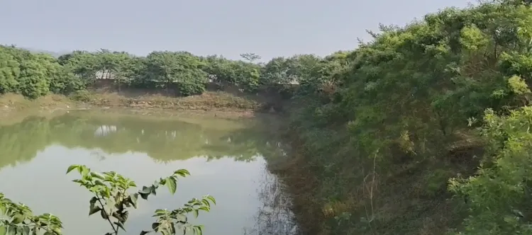 क्या किसान अमरेंद्र ने अरहर दाल से तीन लाख रुपए कमाए? सरकारी योजना से प्रेरित होकर कोसी क्षेत्र में सफल खेती की