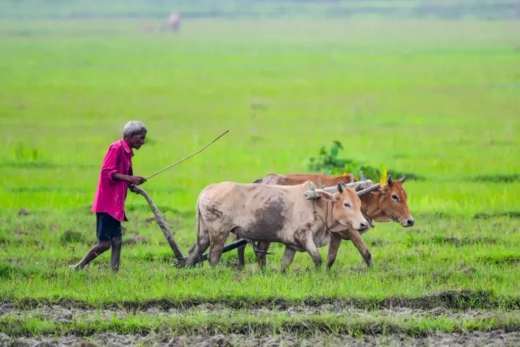 Kisan Sarathi: 2.95 crore farmers now on India's digital agri-advisory platform