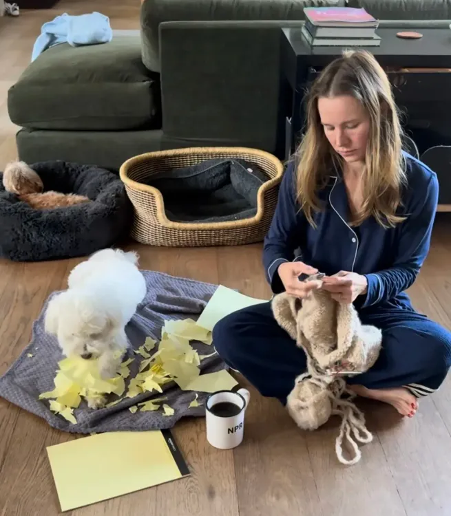 Kristen Bell jokes pet Frank has a 'criminal past' for shredding bills