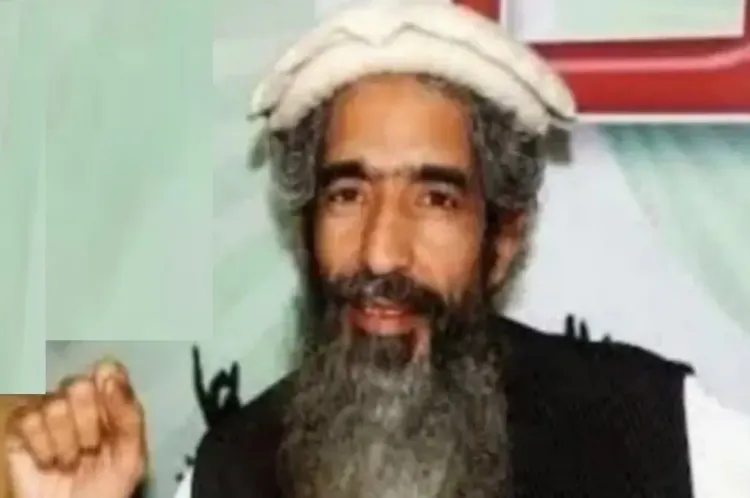 Attack on Lashkar-e-Taiba Co-founder Amir Hamza in Lahore Leaves Him Injured