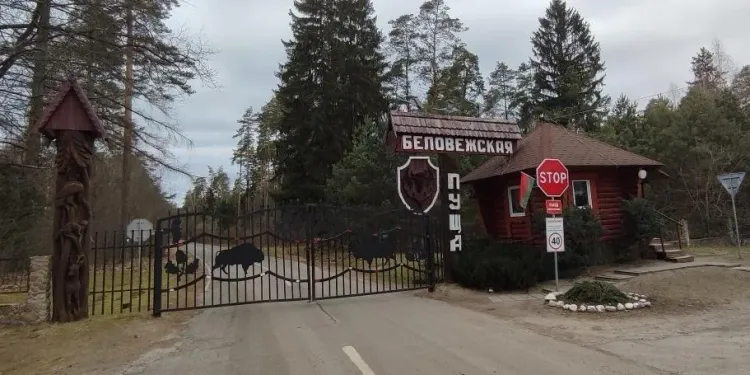 Why is Lithuania Reopening Its Border with Belarus Earlier than Expected?