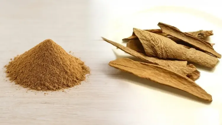 क्या लोध्र त्वचा और स्त्री स्वास्थ्य के लिए आयुर्वेद की शक्तिशाली वनौषधि है?