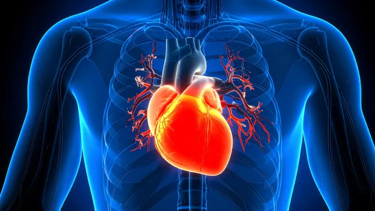 Are Long Covid Patients More Prone to Unusual Heart Rhythm Disorders?
