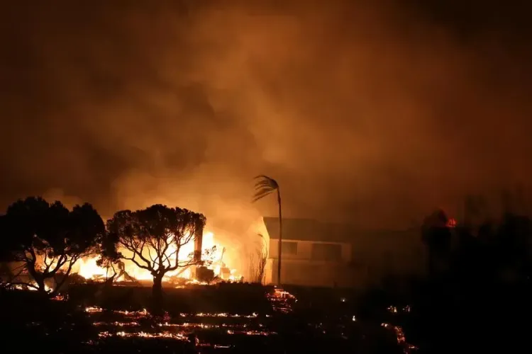 Wildfires in Los Angeles: Casualties Climb to 24