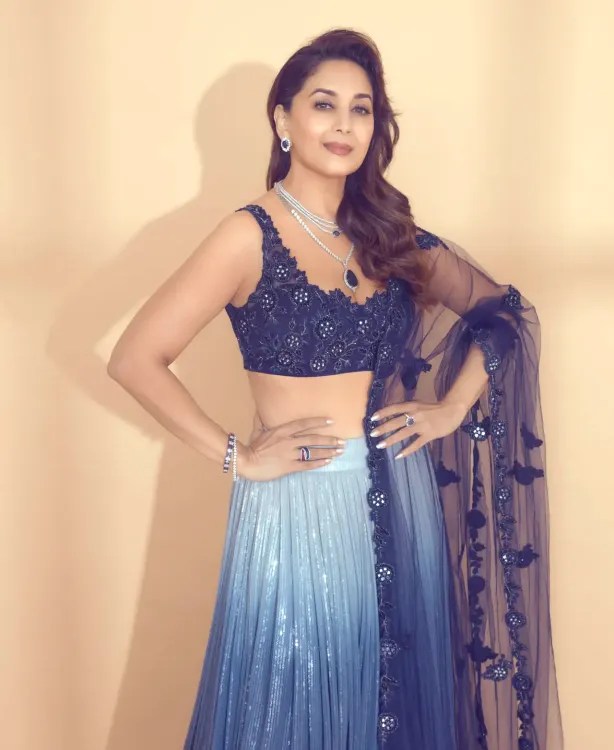 Is Madhuri Dixit Nene Ready to Meet Her Fans in the US?