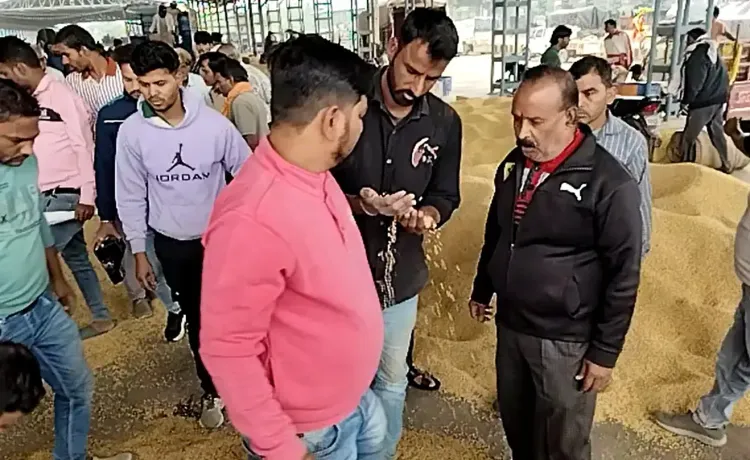 क्या मध्य प्रदेश के नीमच में भावांतर भुगतान योजना ने किसानों के चेहरे पर मुस्कान ला दी है?