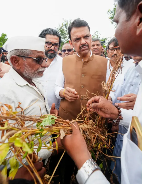 Maharashtra CM Fadnavis orders crop damage assessment, aid in 3 days