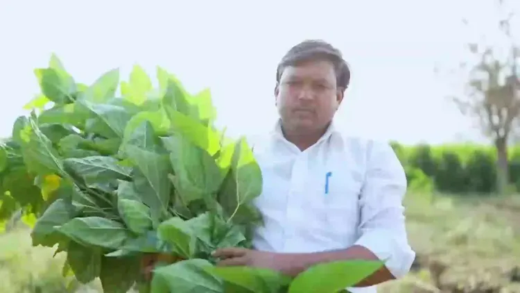 Maharashtra CM unveils modern silk cocoon market in Jalna
