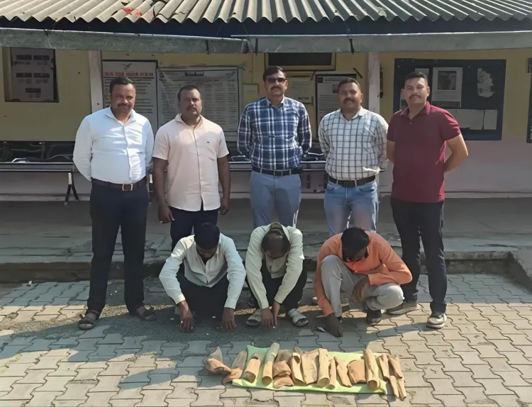वाशिम के रिसोड में चंदन चोरी का भंडाफोड़: ₹27,000 के 9 किलो चंदन सहित 3 गिरफ्तार