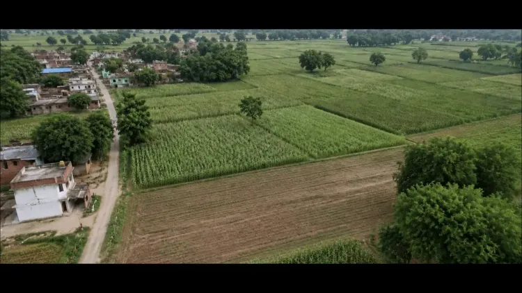 Mandaviya hails 12 years of Modi govt farmer welfare schemes
