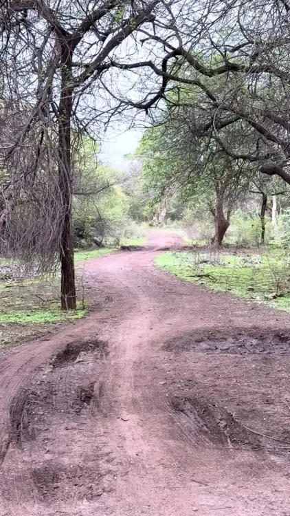 Mandaviya Shares Nature Moments from Porbandar Constituency